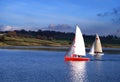 Sailing boat race Royalty Free Stock Photo