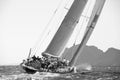 Sailing boat race in the bay of Cannes Royalty Free Stock Photo