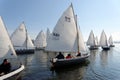 Sailing boat race Royalty Free Stock Photo