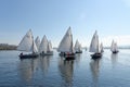 Sailing boat race Royalty Free Stock Photo