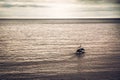 Sailing boat sail away into the sea towards horizon during sunset with copy space in purple toned colors symbolizing beginning of Royalty Free Stock Photo