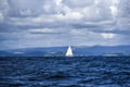 Sailing boat sailing in the North Sea off the coast of Sweden Royalty Free Stock Photo