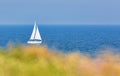 Ship yachts with white sails in the open Sea Royalty Free Stock Photo