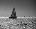 Sailing boat silhouette in the high sea Royalty Free Stock Photo