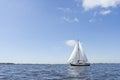 Sailing boat at Sneekermeer Royalty Free Stock Photo