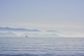 Sailing Boat at Sunrise