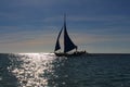 A sailing boat into the sunset Royalty Free Stock Photo