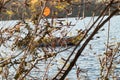 Sailing boat in the water