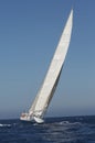 Sailing Boat In Yacht Race Royalty Free Stock Photo