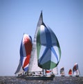 Sailing boat yacht or sail regatta race on blue water Sea Sport.rio de la plata ,buenos aires Royalty Free Stock Photo