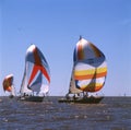 Sailing boat yacht or sail regatta race on blue water Sea. Sportrio de la plata ,buenos aires Royalty Free Stock Photo