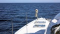 Sailing boating in ocean, ship at sea close up high quality image luxury experience