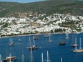 Sailing boats in Bodrum Royalty Free Stock Photo