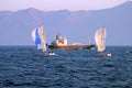 Sailing boats and cargo ship