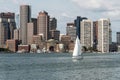 Sailing boats on the Charles River in front of Boston Skyline in Massachusetts USA on a sunny summer day Royalty Free Stock Photo