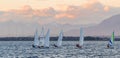 Sailing boats group regatta race in the sea during beautiful sunset White Rock British Columbia  Canada Royalty Free Stock Photo