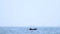 Sailing Boats on the horizon. seascape. sea sports