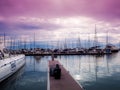 The sailing boats in Marina yacht club Pattaya Royalty Free Stock Photo