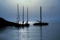 Sailing boats in the moonlight