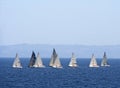 Sailing Boats Race