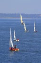 Sailing boats race Royalty Free Stock Photo