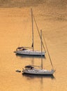 Sailing boats at sunset, sunrise. Copy space, vertical photo Royalty Free Stock Photo