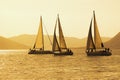 Sailing boats on water, regatta. Montenegro, Kotor Bay. Color toning Royalty Free Stock Photo