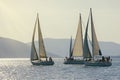 Sailing boats on water, regatta, silhouettes. Montenegro, Bay of Kotor Royalty Free Stock Photo