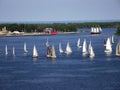 Sailing Boats. Yacht Racing In Lake Ontario, Toronto, Canada
