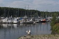 Sailing boats and yachts in the water sport harbor of Wiesbaden-Schierstein, Hesse, Germany