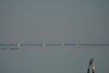 Sailing boats with yellow sails on a calm bay Royalty Free Stock Photo