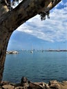 Sailing into Dana Point Harbor Royalty Free Stock Photo