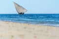 Sailing dhow heading for harbour full sails and choppy ocean Royalty Free Stock Photo