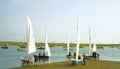 Sailing Dinghies on a summers day. Royalty Free Stock Photo