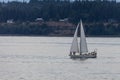 Sailing in Elliot Bay Royalty Free Stock Photo