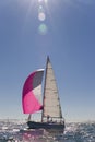 Sailing In The Evening Sun Royalty Free Stock Photo