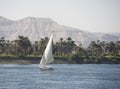 Sailing felluca on the river Nile