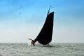 Sailing fishing boat on IJsselmeer, Holland