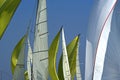 Sailing in Good Wind / sails background Royalty Free Stock Photo