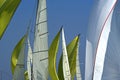 Sailing in Good Wind / sails background