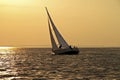 Sailing on the IJsselmeer in the Netherlands