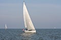 Sailing on the IJsselmeer in the Netherlands