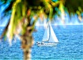 Sailing Just Off the Boca Raton, Florida Coast is a Popular Pastime All Year Around. Royalty Free Stock Photo