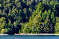 Sailing Lake Todos los Santos, from Petrohue port - Chile - Andean Crossing Royalty Free Stock Photo