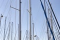 Sailing Masts In The Marina In A Sunny Day