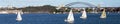 Sailing on the Parramatta, Sydney, NSW