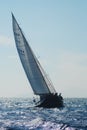 Sailing race Royalty Free Stock Photo