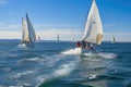 sailing race, with boats speeding across the water and crew members busy at work