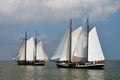 Sailing race on lake ijsselmeer, the Netherlands