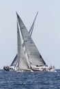 Sailing race regatta Copa del Rey in Mallorca